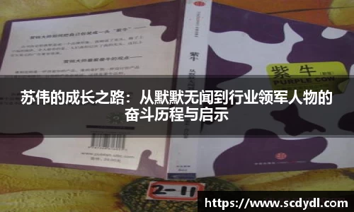 苏伟的成长之路：从默默无闻到行业领军人物的奋斗历程与启示
